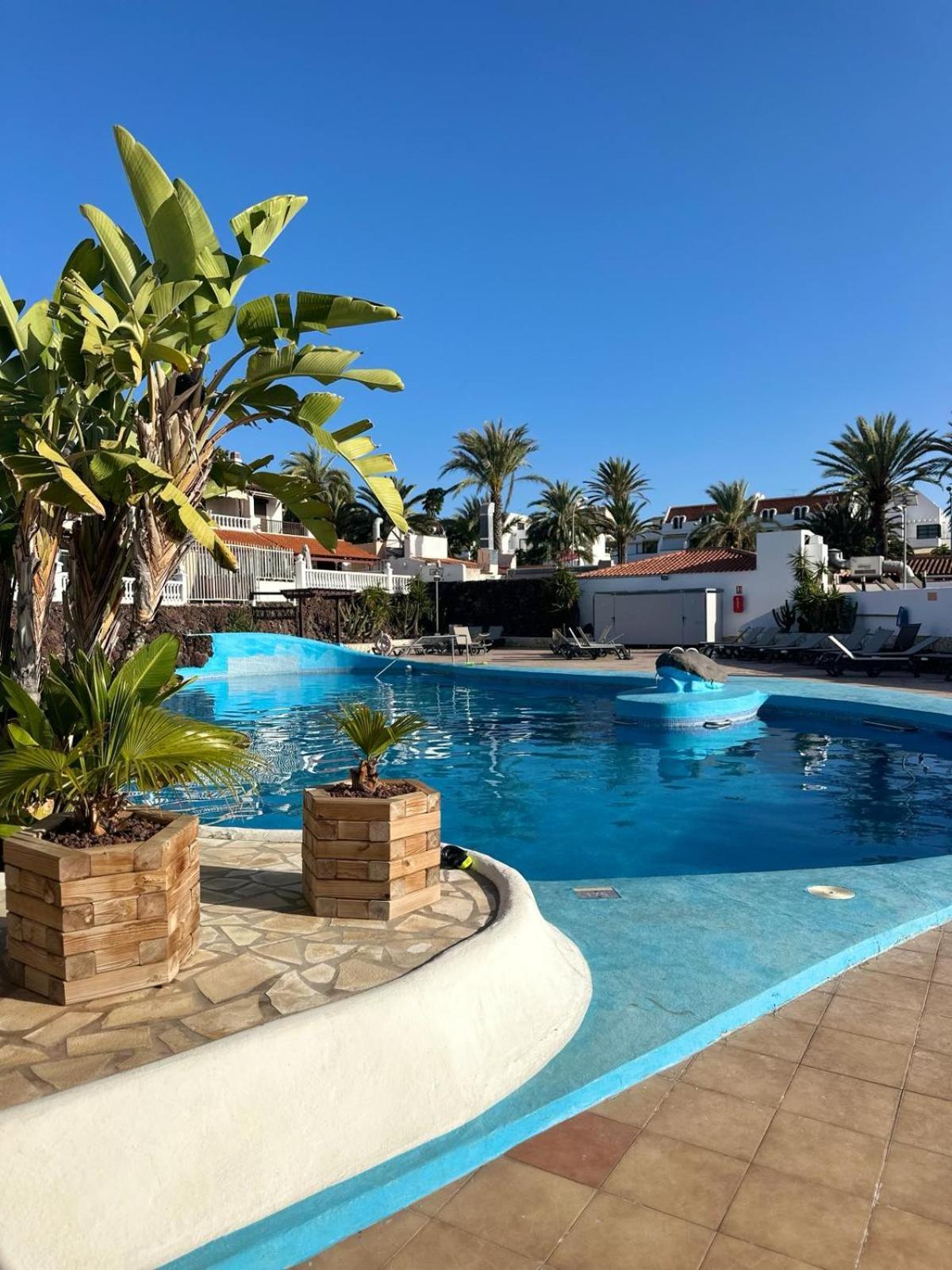 Sunny Sea View Apartment Center Of Las Americas Playa de las Américas Extérieur photo