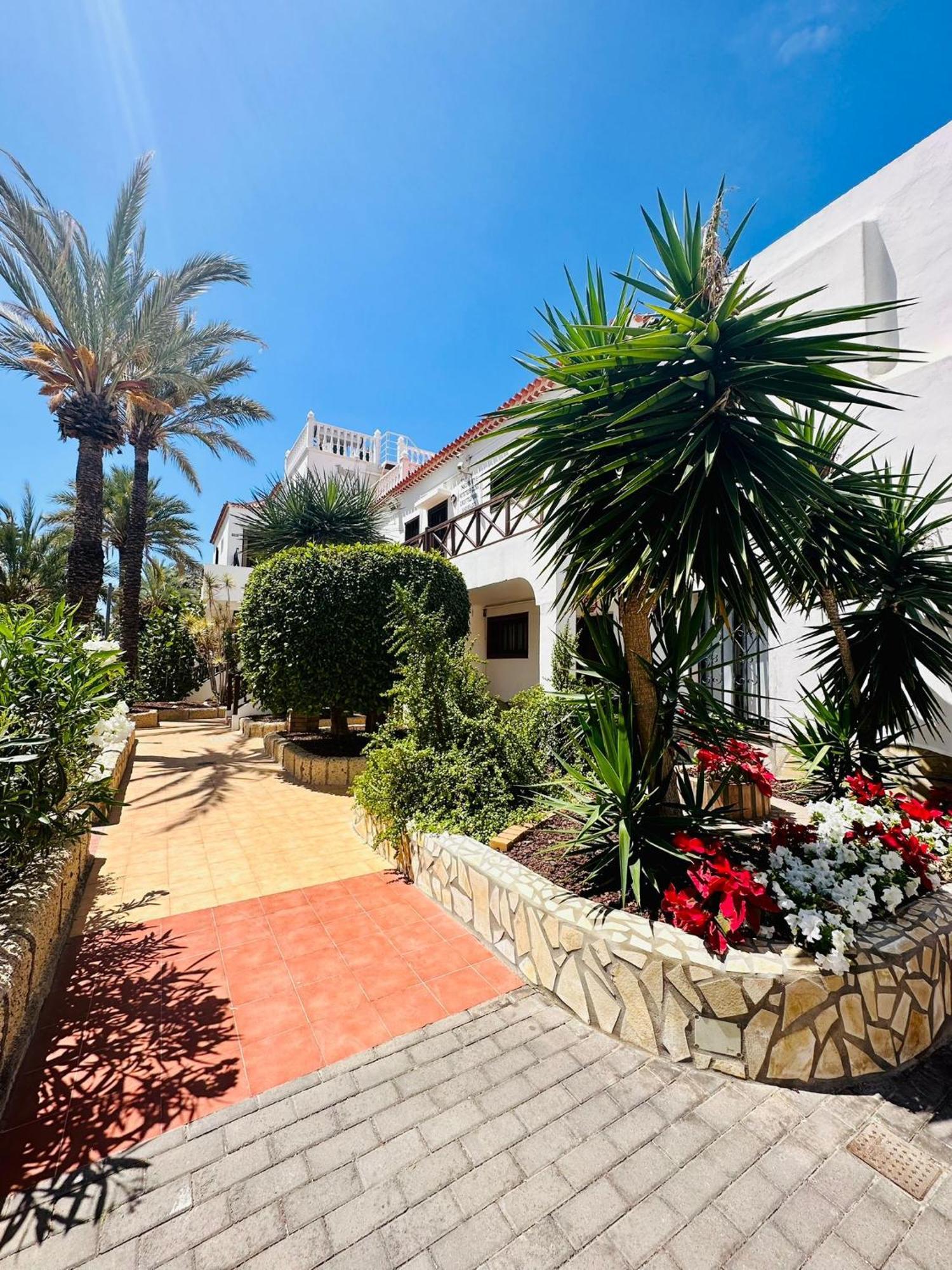 Sunny Sea View Apartment Center Of Las Americas Playa de las Américas Extérieur photo